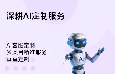 专业垂直类目AI客服定制服务
